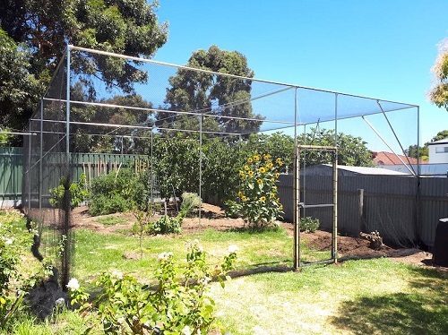 Adelaide fruit trees hoop houses